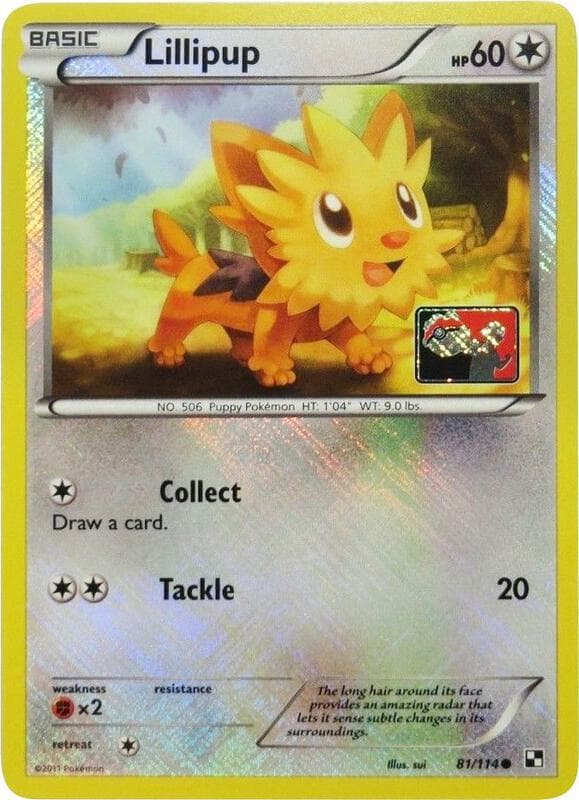 Lillipup